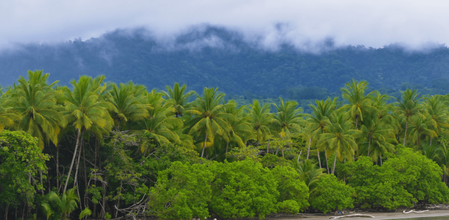The Turning Winds Experience: Squads Abroad Trip To Greece